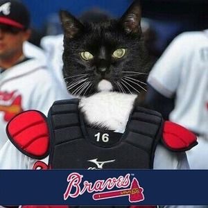 Meet your Posher, Holly